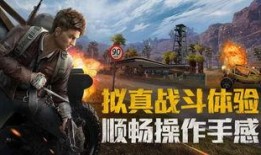 徐生和平精英爆料视频,揭秘游戏幕后秘密与未来动向