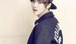 黄子诚爆料鹿晗视频大全,独家爆料背后的故事