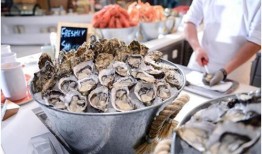 生蚝自助餐爆料视频播放,海量美食引发网友热议