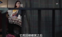 小孩爆料小舅妈视频播放,引发家庭风波