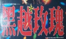 黑越玫瑰在线观看,暗夜中的复仇之花