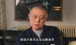 王朔爆料徐静蕾视频,一场娱乐圈的悬疑大剧