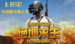 吃鸡二周年爆料视频下载,二周年狂欢来袭！吃鸡游戏爆料视频深度解析