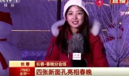 王冰冰吉林爆料视频在线观看,揭秘幕后真相