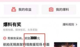 头条爆料上传不了视频吗,视频上传受阻，原因竟是...