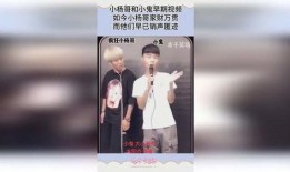 小杨哥爆料哥哥视频大全,哥哥视频大全背后的精彩故事