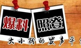 什么是新爆料新闻媒体,新闻媒体如何引领信息革命