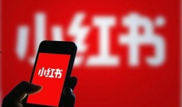 找澎湃新闻爆料要收费吗,揭秘媒体爆料背后的经济真相