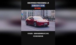 特斯拉中国爆料最新消息,神秘新车型即将亮相，性能参数引发热议