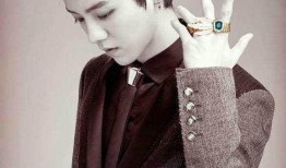 黄子诚爆料鹿晗视频大全,独家爆料背后的故事