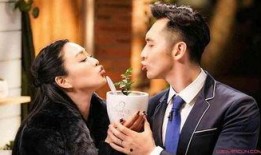 天涯爆料 袁文康视频大全,袁文康视频大全揭秘，精彩瞬间一网打尽