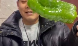 网红必须死吃瓜的雪诺