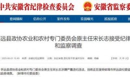 安徽怀远爆料最新新闻事件,最新事件引发关注，详情揭晓