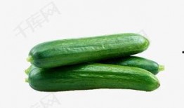 晨曦网红吃瓜链接下载