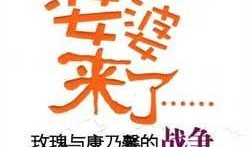 爆料婆婆视频下载安装,一键操作轻松掌握