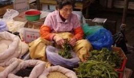 营生 在线观看,在线观看，揭秘现代创业者的生存法则