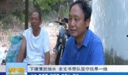 蕲春县新闻记者爆料视频,揭秘事件背后真相
