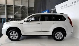 新长城最新爆料消息,揭秘行业最新动态与趋势