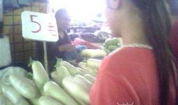 今日菜价爆料,新鲜蔬菜价格波动一览