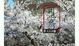 常熟古里中学最新爆料,揭秘校园风云背后的故事