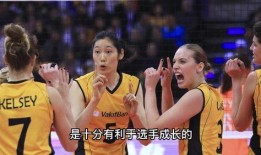 外媒爆料李盈莹事件视频,外媒揭秘真相与争议