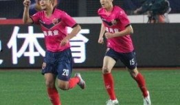 徐亮爆料足协视频大全,足协视频大全背后的真相与争议