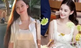 张兰阿姨爆料视频播放下载,揭秘幕后真相