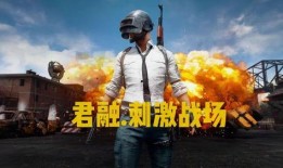 吃鸡二周年爆料视频下载,二周年狂欢来袭！吃鸡游戏爆料视频深度解析
