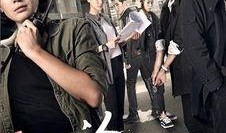 冷案在线观看免费,揭秘悬疑背后的真相