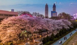 抖音网红操场吃瓜,揭秘校园生活趣味瞬间