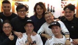 老大哥成龙最大爆料视频,演艺生涯背后的惊人真相与心路历程