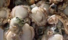 吃扇贝肉爆料视频播放,视频播放量惊人，网友热议烹饪技巧