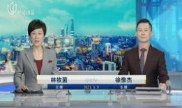 永嘉电视台爆料新闻报道,最新新闻报道揭秘