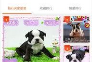 新闻投稿爆料邮箱,传递真相的桥梁