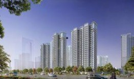 石家庄新房爆料最新消息