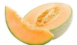 晨曦网红吃瓜链接下载