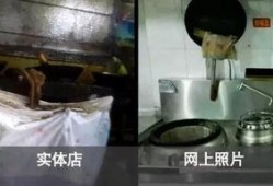 黑心作坊爆料新闻视频大全,新闻视频大全深度剖析