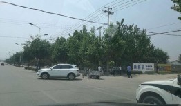 石家庄灵寿县最新爆料,揭秘当地发展新动态与民生热点