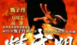 电视剧精武门在线观看,热血传奇，民族脊梁的觉醒之路