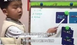 小男孩儿爆料视频,真实事件背后的惊人真相