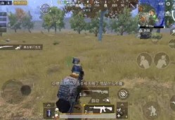 击杀秀最新爆料视频完整版,揭秘完整版视频中的惊险瞬间与幕后故事