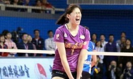 外媒爆料李盈莹事件视频,外媒揭秘真相与争议