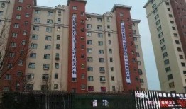 成都高新爆料事件视频,揭秘背后真相与争议