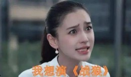 导演爆料杨颖视频播放网站,揭秘背后真相