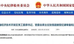最新经济爆料消息今天,今日最新爆料揭示市场动态与趋势