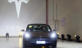 特斯拉中国爆料最新消息,神秘新车型即将亮相，性能参数引发热议