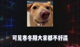 娱乐八卦吃瓜,揭秘明星们的幕后故事与情感纠葛