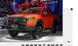 新长城最新爆料消息,揭秘行业最新动态与趋势