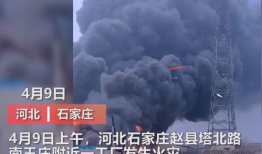 漳州最新爆料事件视频曝光,视频曝光惊人事件，真相揭晓！