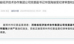最新经济爆料消息今天,今日最新爆料揭示市场动态与趋势